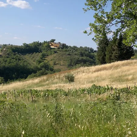 B&B La Rotonda In Collina *